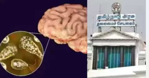 மூளையை தின்னும் அமீபா