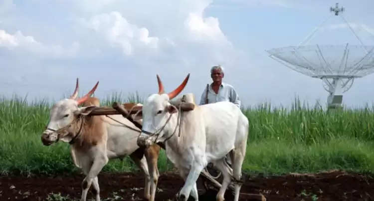 விவசாயம்